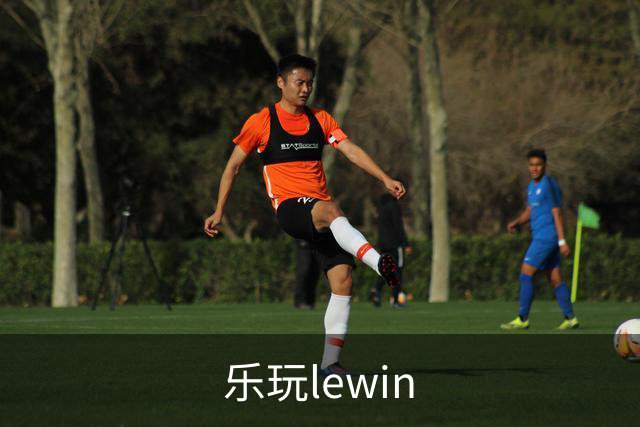 乐玩lewin公司简介图片